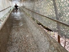 -秦岭终南山世界地质公园翠华山景区