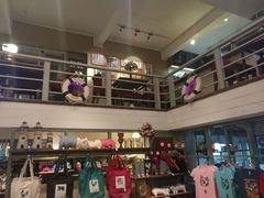 景点-猫咪博物馆(顶澳仔猫街店)