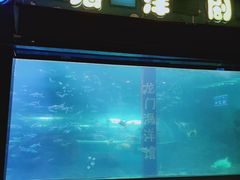 -洛阳龙门海洋馆