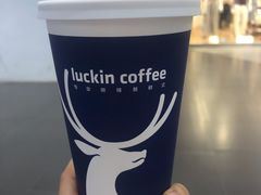 -瑞幸咖啡(北美N1购物中心店)