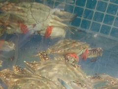 -77号渔船·蒸海鲜青岛菜(积米崖店)