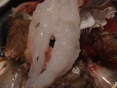 大牡丹虾刺身-王鼎精致料理铁板烧(世博源店)