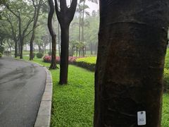 -晓港公园