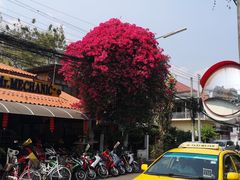 -Cafe de Thaan Aoan