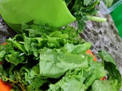 -德顺斋爆肚涮肉馆·烧烤·羊蝎子·清真炒菜(马驹桥店)