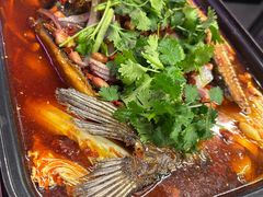 -老吕涮羊肉•东北原味烧烤•大油边•烤鱼(五角场店)