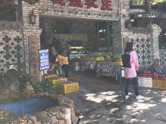 门面-桃姐农庄老字号(从化温泉店)