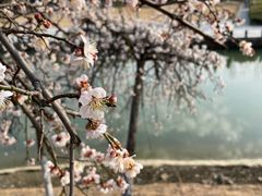 -白塘生态植物园