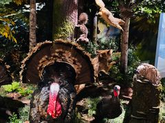 -陕西自然博物馆