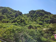 -大岭沟猕猴桃谷风景区