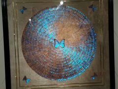 -上海昆虫博物馆