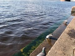 -瓦西里岛古港口灯塔