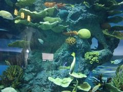 -福州罗源湾海洋世界旅游区