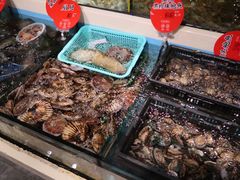 -日进一片海.生腌海鲜火锅.宵夜烧烤(三里屯总店)