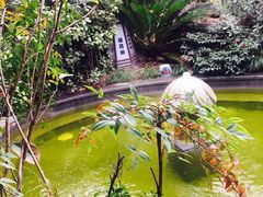 -杭州第一世界大酒店·云曼温泉