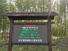 -黄海国家森林公园