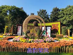 -上海共青森林公园