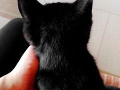 -驿舍·民國老营房院子私房菜(科学会堂店)