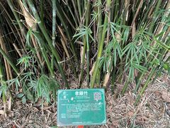 -广西壮族自治区药用植物园