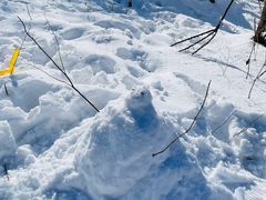 -太子岭滑雪场