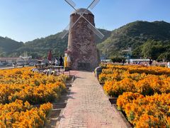 -玫瑰海岸文化旅游度假区
