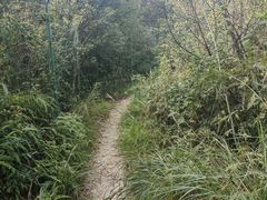 -会稽山峡洞漂流-上青古道