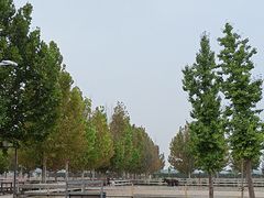 -北京群众马术培训基地