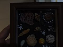 -青岛贝壳博物馆