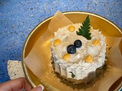 -野草莓自由市场