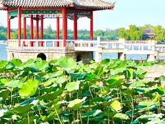 -济南大明湖景区