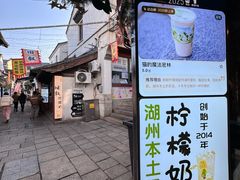 -猫的魔法密林(衣裳街店)
