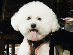 -树下咖啡(昆明老街店)