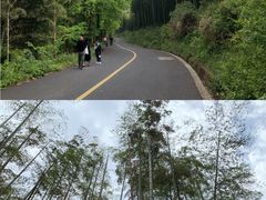 -东明山森林公园