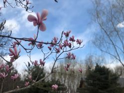 -大望京儿童游乐场