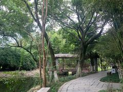 -八大山人梅湖景区