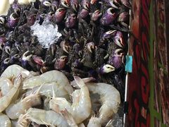 -席娜卡琳火车铁道夜市