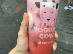 -一只酸奶牛(奎星楼店)