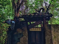 -南山植物园