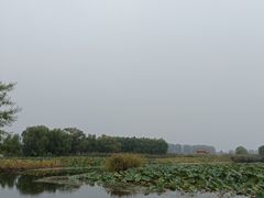 -白洋淀景区