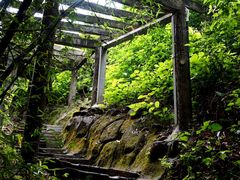 -大雁山风景区