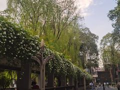 -四川大学(望江校区)