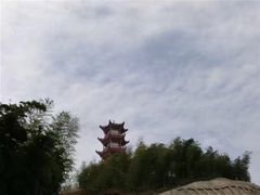 -蔡伦竹海