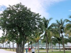 -芽庄珍珠岛游乐园