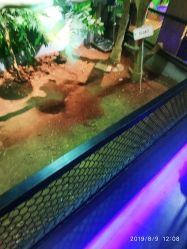 -未来动物城主题公园(正弘城店)