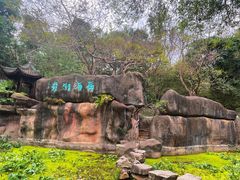 -深圳国际园林花卉博览园