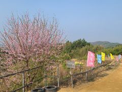 -杭州屏风山越野车营地·团建别墅轰趴民宿