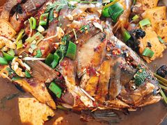 -庆岭迎宾园正宗活鱼馆