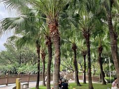 -海珠儿童公园