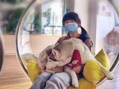 -Husky Go! 哈士奇体验馆·宠物咖啡厅狗咖