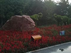 -长白岛森林公园